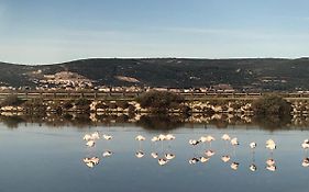 Flamants Roses 1 Pers 6