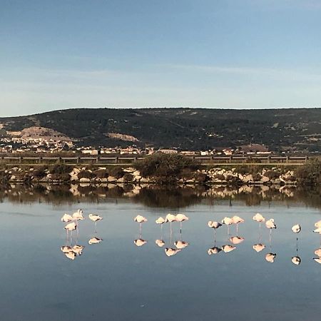 Flamants Roses 1 Pers 6 Frontignan Exterior photo